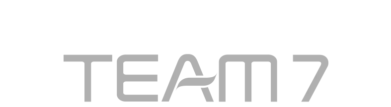 Team 7 Logo
